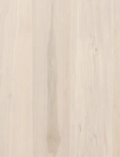 Rosamonde Desk -VIAN Furniture Shop 107317 004 DET 2