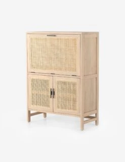 Philene Bar Cabinet -VIAN Furniture Shop 109084 002 PRM 1