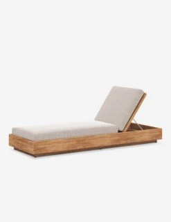Minnette Indoor / Outdoor Chaise -VIAN Furniture Shop 109167 004 PRM 1