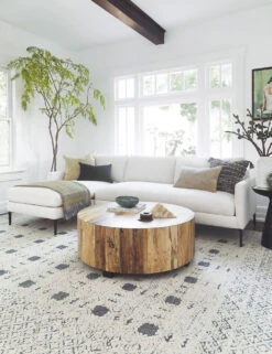 Allisen Sectional Sofa -VIAN Furniture Shop 20190912 25th st home0177 1 low res low res 1