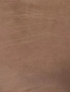 Sela Leather Accent Chair -VIAN Furniture Shop 222702 012 det 2