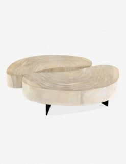 Finley Coffee Table Set -VIAN Furniture Shop 223615 001 bck 1
