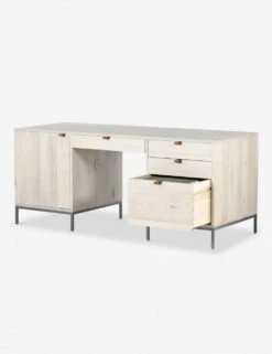 Rosamonde Executive Desk -VIAN Furniture Shop 223816 003 OPN 1