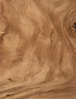 Emmanuel Desk 26 Emmanuel Desk -VIAN Furniture Shop 224198 001 det 2 4f8d83eb 44f3 4c49 85ef 201b495cb754