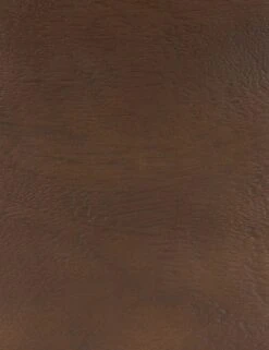 Gilbert Dining Chair -VIAN Furniture Shop 224509 001 DET 2