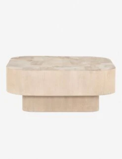Sunako Coffee Table -VIAN Furniture Shop 224828 001 frt 1 dee6dc33 1305 431b b823 e57fc4723686