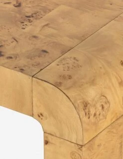 Martine Coffee Table 12 Martine Coffee Table -VIAN Furniture Shop 224830 002 DET 4