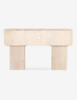 Sunako Console Table -VIAN Furniture Shop 224841 001 bck 1