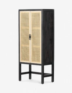 Hannah Narrow Cabinet -VIAN Furniture Shop 225960 001 PRM 1