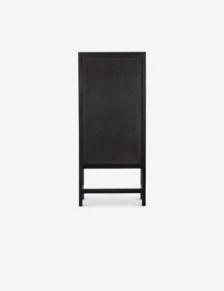 Hannah Narrow Cabinet -VIAN Furniture Shop 225960 003 BCK 1