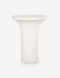 Ramos Tall Round Side Table -VIAN Furniture Shop 226317 001 PRM 1 1