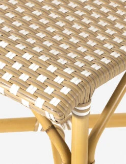 Monet Indoor / Outdoor Dining Chair -VIAN Furniture Shop 226843 001 DET 3