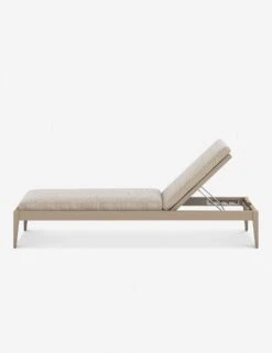 Cadenza Indoor / Outdoor Chaise -VIAN Furniture Shop 226912 006 SID 1