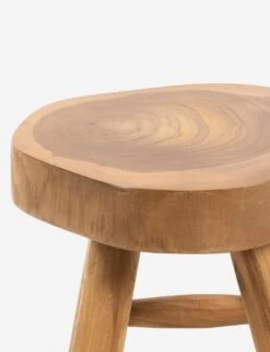 Oberon Indoor / Outdoor Stool 9 Oberon Indoor / Outdoor Stool -VIAN Furniture Shop 227704 001 DET 1 SITECROP