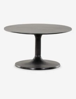 Inga Indoor / Outdoor Oval Coffee Table -VIAN Furniture Shop 227822 005 SID 1 SITECROP