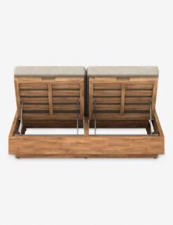 Minnette Indoor / Outdoor Double Chaise -VIAN Furniture Shop 227877 004 BCK 1