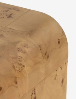 Martine Side Table -VIAN Furniture Shop 228910 002 DET 5