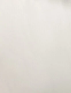 Oceane Indoor / Outdoor Accent Chair -VIAN Furniture Shop 229034 001 DET 2