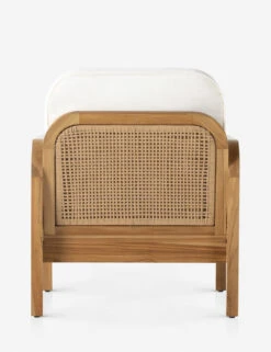 Anson Indoor / Outdoor Accent Chair -VIAN Furniture Shop 229395 001 BCK 1