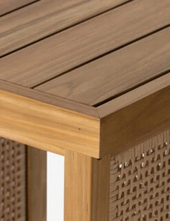 Anson Indoor / Outdoor Side Table -VIAN Furniture Shop 229413 001 DET 4