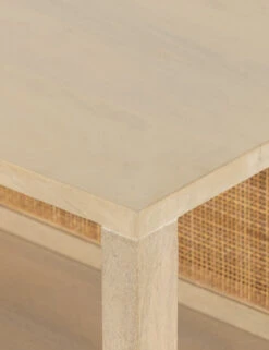 Philene Media Console -VIAN Furniture Shop 229664 002 DET 3