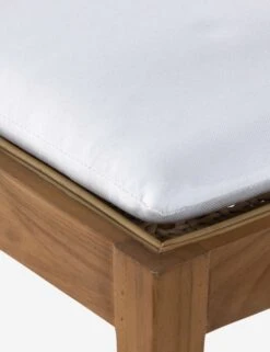 Jaz Indoor / Outdoor Dining Chair -VIAN Furniture Shop 230309 001 DET 5 SITECROP