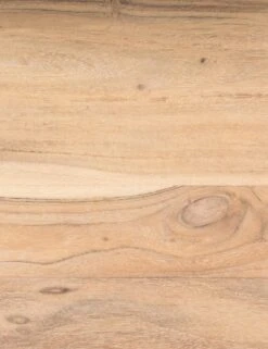 Ridley Coffee Table -VIAN Furniture Shop 230676 001 DET 2