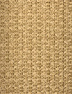 Wilkins Indoor / Outdoor Accent Chair -VIAN Furniture Shop 231931 001 DET 2