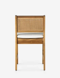 Anson Indoor / Outdoor Dining Chair -VIAN Furniture Shop 234354 001 BCK 1