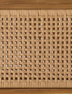 Anson Indoor / Outdoor Dining Chair -VIAN Furniture Shop 234354 001 DET 2