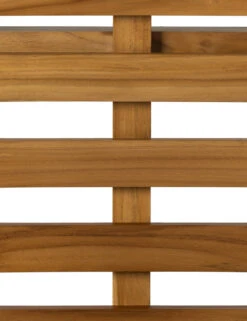 Anson Indoor / Outdoor Dining Chair -VIAN Furniture Shop 234354 001 DET 3