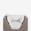 Eugenie Indoor / Outdoor Accent Chair