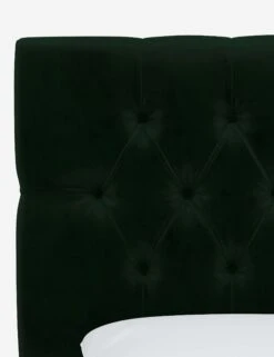 Amarise Headboard -VIAN Furniture Shop AmariseHeadboard EmeraldVelvet 540TMHRVLVEMR 3