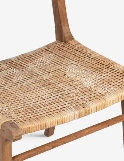 Schmidt Dining Chair -VIAN Furniture Shop DOV7760NScl2