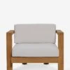 Landry Indoor / Outdoor Accent Chair