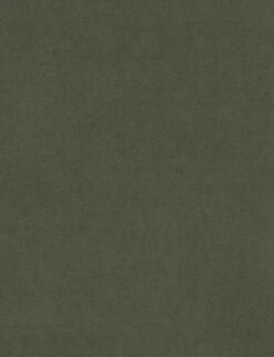 Lotte Sleeper Sofa -VIAN Furniture Shop MossVelvet RHEN 030 14861 43 BI Swatch SITECROP