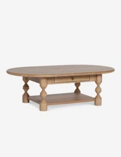 Topia Oval Coffee Table By Ginny Macdonald