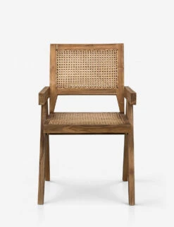 Alvi Dining Chair -VIAN Furniture Shop alvi chair 1 1 1
