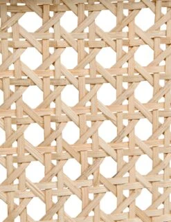 Loreana Accent Chair -VIAN Furniture Shop gcha258hb ln 6 1