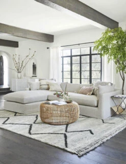 Parque Slipcover Sectional Sofa -VIAN Furniture Shop leila rug lulu and georgia 1