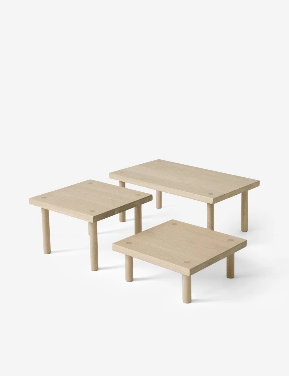 Yucca Stand By Sun At Six 3 Yucca Stand By Sun At Six